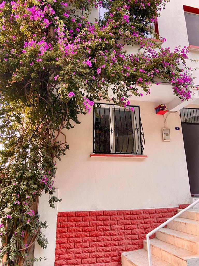 Ferienwohnung Small House Izmir Exterior foto