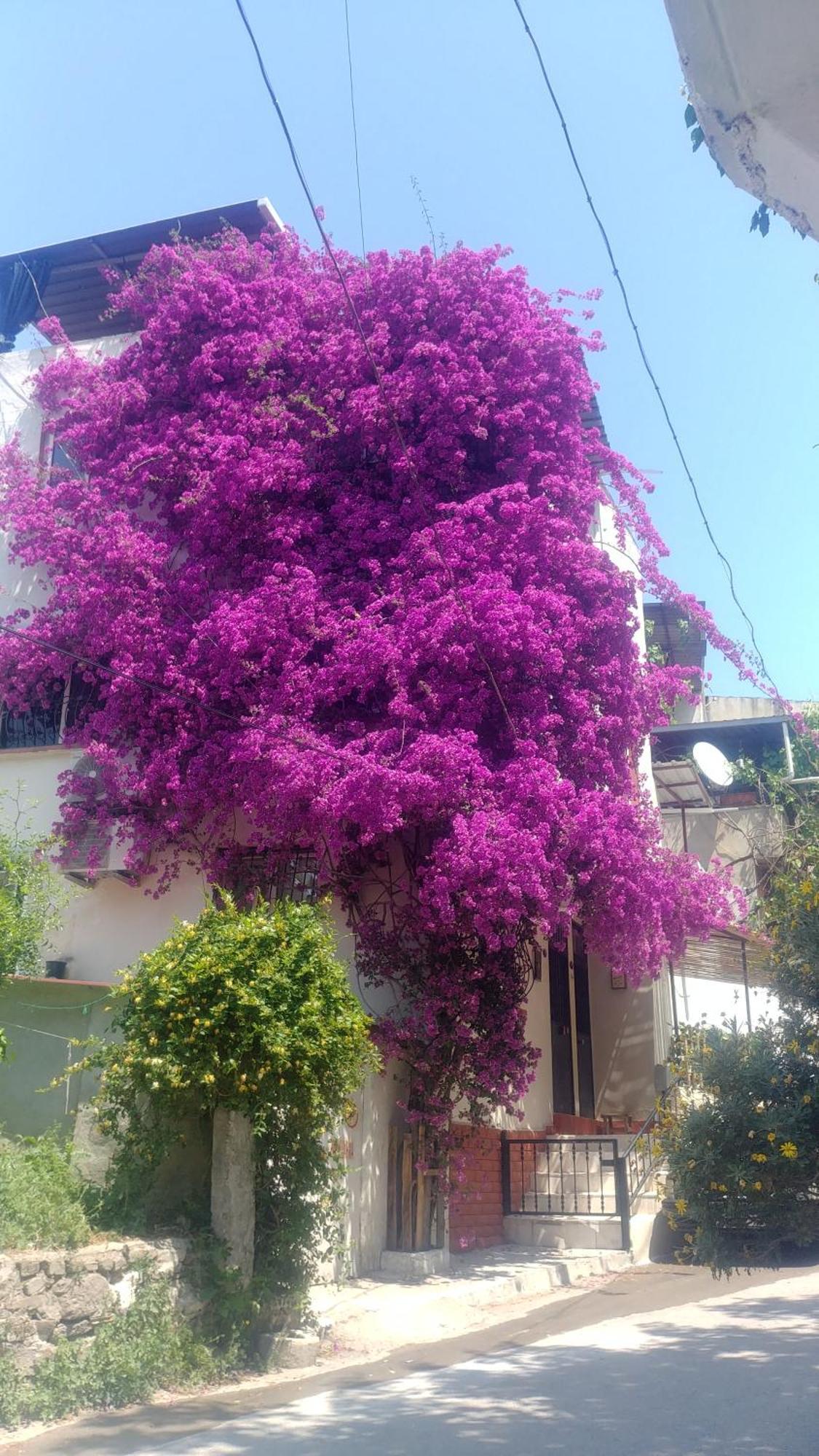 Ferienwohnung Small House Izmir Exterior foto